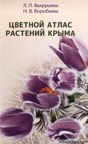 цветы Крыма 